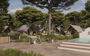 wecamp Cádiz, Cadiz